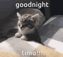 a kitten is laying on a bed with the words goodnight timo written on it