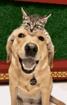 GIF