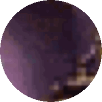 a purple circle on a white background with a blurred image in the background