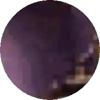 a purple circle on a white background with a blurred image in the background