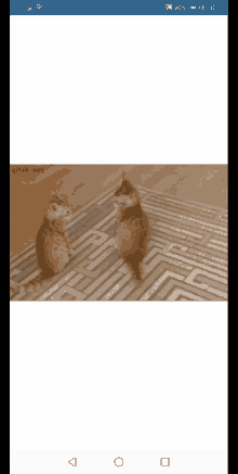 a screen shot of two cats standing on a rug