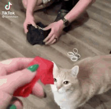Cat Grabbing GIF - Cat Grabbing Reaching GIFs