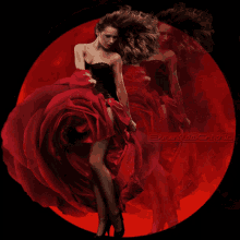 red lady rose flower pose