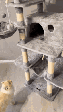 Yeti Cat GIF - Yeti Cat Tower GIFs