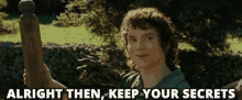 Lord Of The Rings Frodo GIF - Lord Of The Rings Frodo Alright Then GIFs