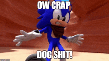 sonic the hedgehog is wearing a scarf around his neck and says ow crap dog shit .