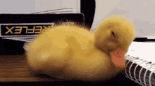 疲れた　つかれた　子アヒル　アヒル GIF - Tired Duck Yellow GIFs