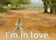 Im In Love GIF - Im In Love Monkey GIFs