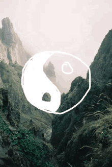 Yin Yang Tai Chi Symbol GIF - Yin Yang Tai Chi Symbol Nature GIFs
