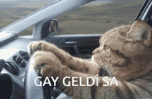 Gay Geldi GIF - Gay Geldi Sa GIFs