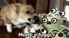 Mordi E Fuggi Cane Mordere Insalata GIF - Hit And Run Dog Bite GIFs