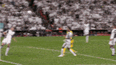 a soccer game is being played in front of a large crowd