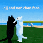 a black and white cat standing next to each other with the words " qqj and nan chan fans " above them