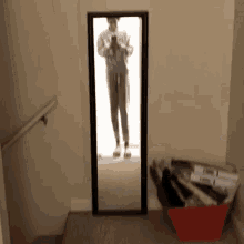 Mirror Standtall GIF - Mirror Standtall GIFs
