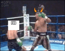 Boxing Fud GIF - Boxing Fud Floki Inu GIFs