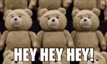 ted hey teddy bear