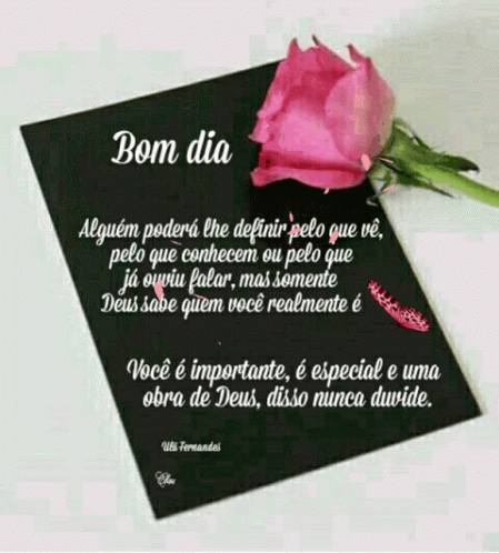 Bom Dia Butterfly GIF - Bom Dia Butterfly Rose - Discover & Share GIFs