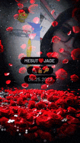a picture of mesut and jade surrounded by red roses and petals