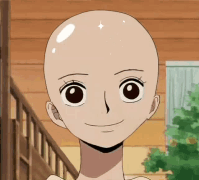 bald one piece characters