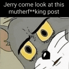Tom And Jerry Wtf GIF - Tom And Jerry Wtf Wtf Face GIFs