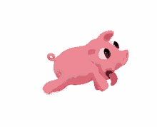 Pig Run GIF - Pig Run Running GIFs
