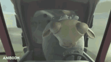 Driving Sheep GIF - Holy Sheep Driving Aniboom GIFs