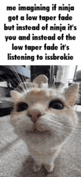 Issbrokie Brokie GIF