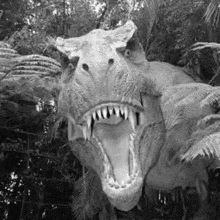 a black and white photo of a t-rex dinosaur with its mouth open .
