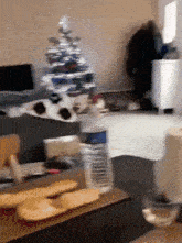 Cat Silly Kitty GIF - Cat Silly Kitty Thief GIFs