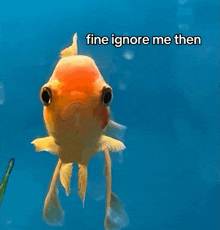 a fish in a tank with the words fine ignore me then above it