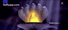 a picture of a pearl shell with a light inside of it