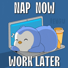 a penguin is sleeping on a laptop with the words nap now work later below it
