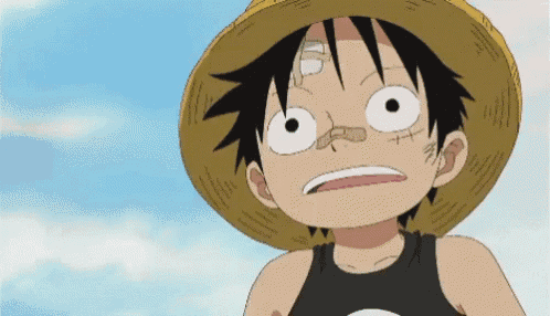 Ahokid Onepiece GIF - Ahokid Onepiece Luffy - Discover & Share GIFs