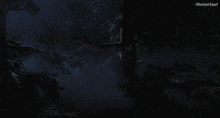an illustration of a dark forest with illusive soul written on the bottom right