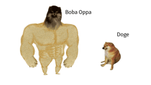 Bobaoppa Doge GIF - Bobaoppa Doge GIFs