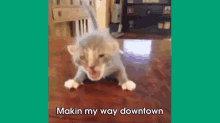 Makin My Way Downtown  GIF - Makin My Way Downtown Cat Kitten GIFs