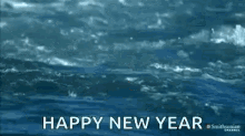 Happy New Year Seal GIF - Happy New Year Seal GIFs