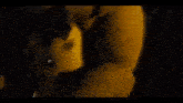 a close up of a stuffed animal in a dark room with a person standing next to it .