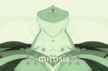 Oikura Sodachi Mitosis GIF