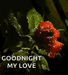 Goodnight Red Roses GIF - Goodnight Red Roses Sparkles GIFs