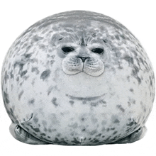 a stuffed seal is sitting on a white surface with a white background