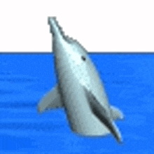 dolphin 3d