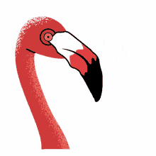 cold flamingo