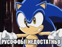 a cartoon of sonic the hedgehog with a caption that says " pycofobii nedoctathbo "