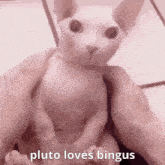 Pluto Loves GIF - Pluto Loves Bingus GIFs