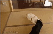 Cats Cat In The Bag GIF - Cats Cat In The Bag Funny Animals GIFs