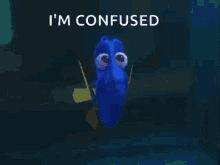 Confused Dori GIF - Confused Dori GIFs