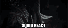 Squid React Mindflayer GIF - Squid React Mindflayer Dungeons And Dragons GIFs