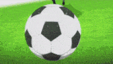 a black and white soccer ball is sitting on a green field