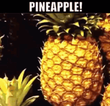 Fruits And Vegetables GIF